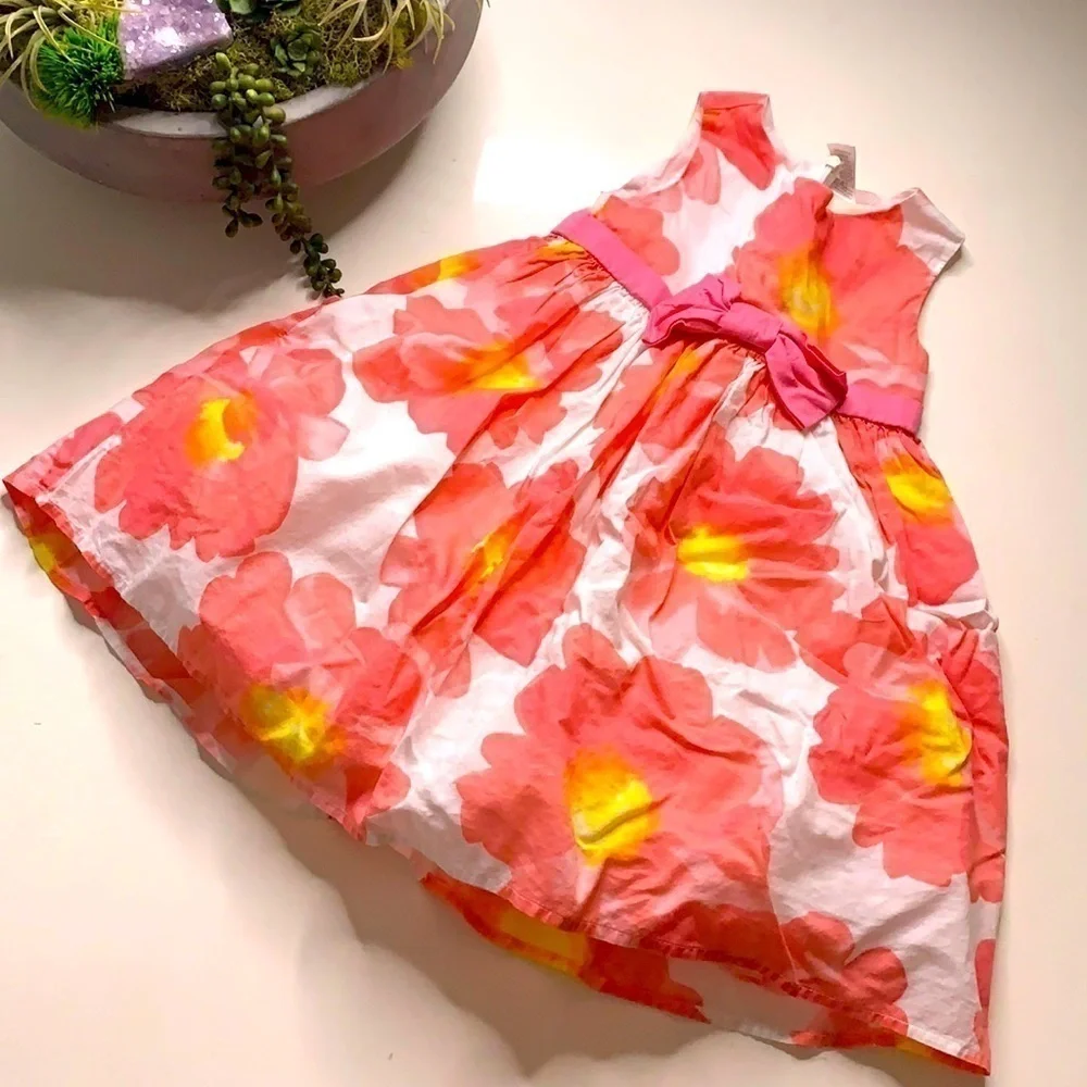 Gymboree Girl Floral Pink A line Dress